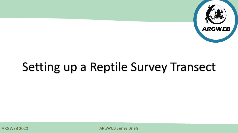 Reptile Transect Planning And Setup